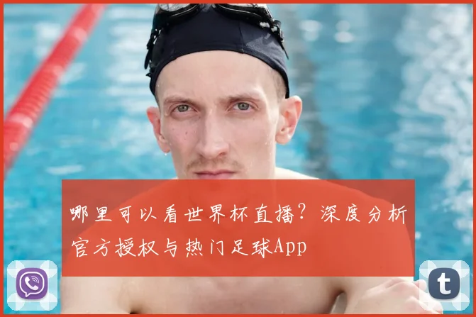 哪里可以看世界杯直播?深度分析官方授权与热门足球App