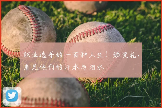 职业选手的一百种人生！颁奖礼，看见他们的汗水与泪水
