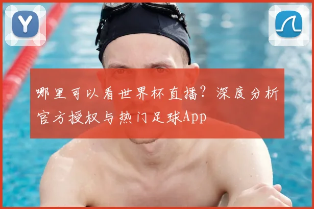 哪里可以看世界杯直播?深度分析官方授权与热门足球App