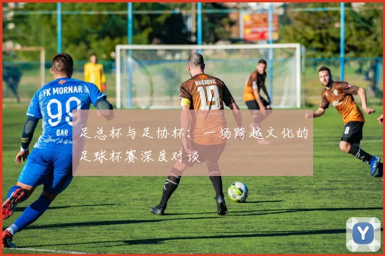 足总杯与足协杯:一场跨越文化的足球杯赛深度对谈