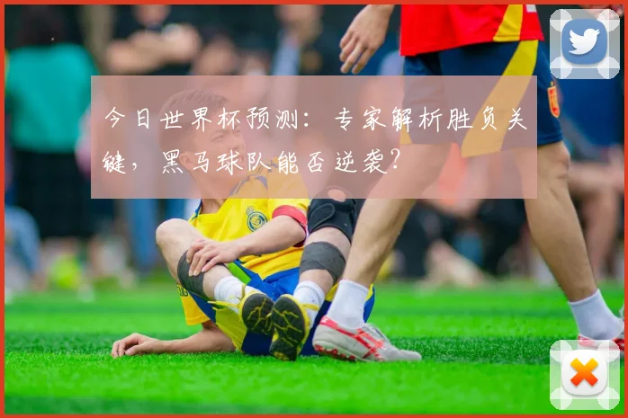 今日世界杯预测:专家解析胜负关键,黑马球队能否逆袭?