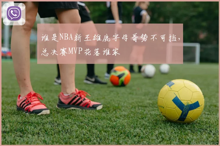 谁是NBA新王雄鹿字母哥势不可挡,总决赛MVP花落谁家
