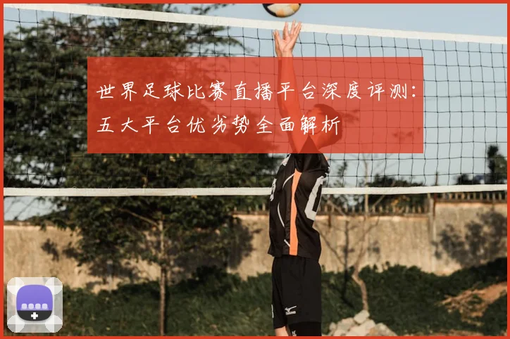 世界足球比赛直播平台深度评测：五大平台优劣势全面解析