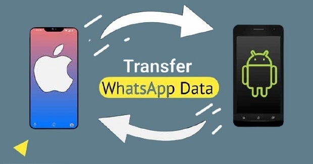 How To Transfer WhatsApp Data From Android To iOS
